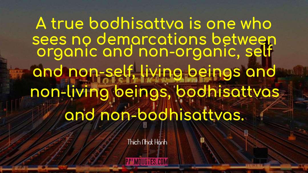 Bodhisattva quotes by Thich Nhat Hanh