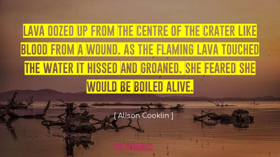 Bodies Of Water quotes by Alison Cooklin