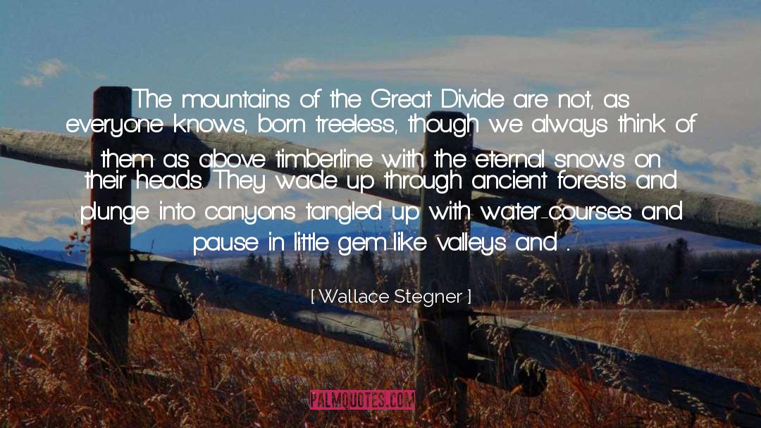 Bodies Of Water quotes by Wallace Stegner