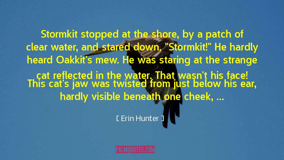 Bodies Of Water quotes by Erin Hunter