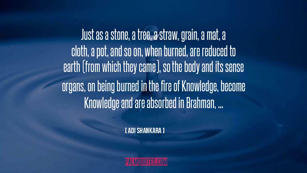 Bodily Organs quotes by Adi Shankara
