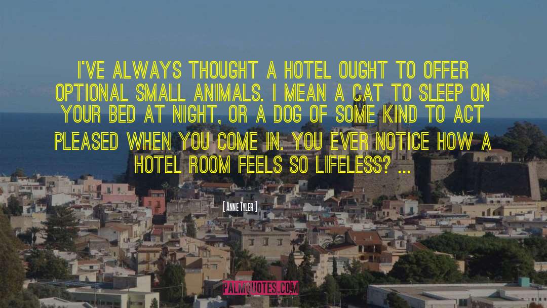 Bodurov Hotel quotes by Anne Tyler