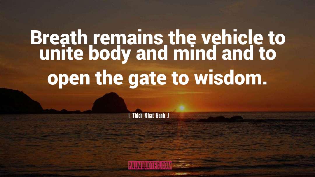 Body And Mind quotes by Thich Nhat Hanh