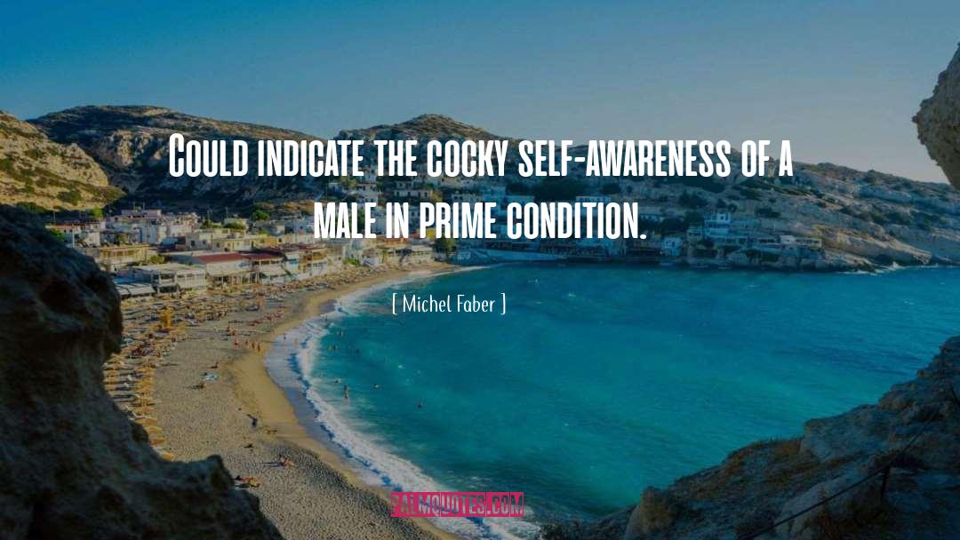 Body Awareness quotes by Michel Faber