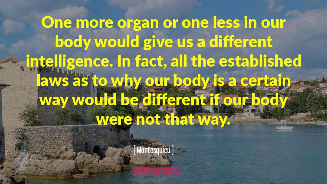 Body Awareness quotes by Montesquieu