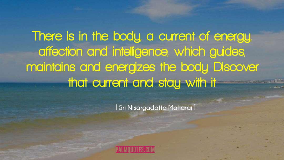 Body Builder quotes by Sri Nisargadatta Maharaj