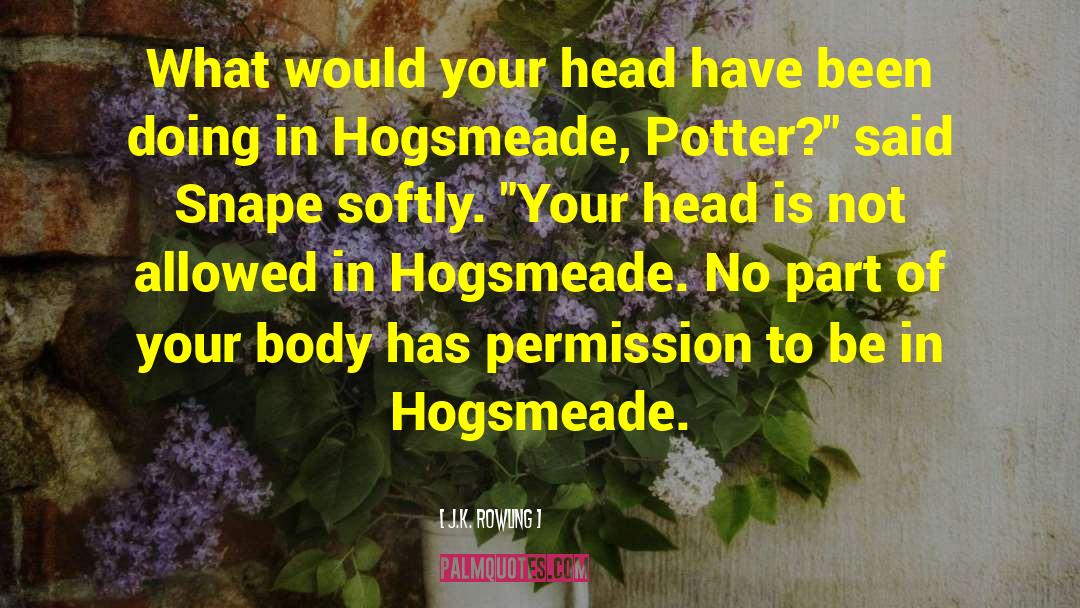 Body Builder quotes by J.K. Rowling