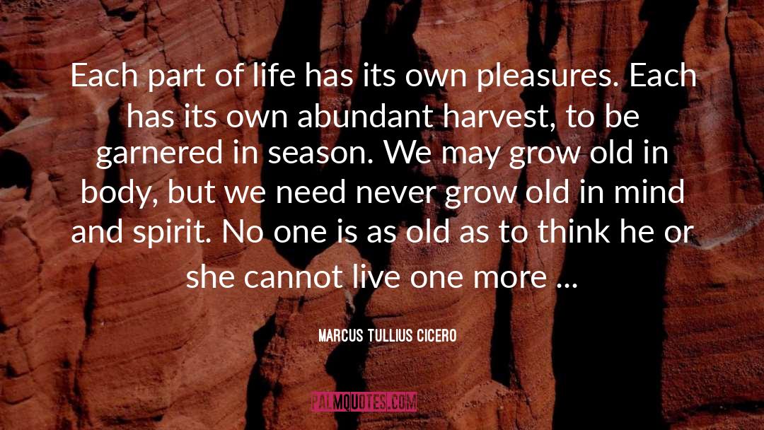 Body Decomposition quotes by Marcus Tullius Cicero