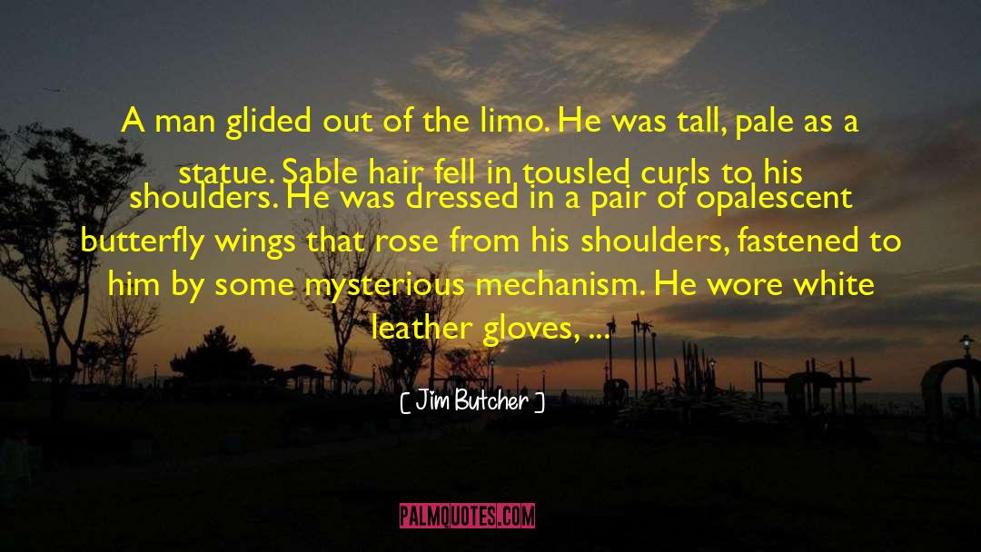 Body Dysmorphic Disorder quotes by Jim Butcher