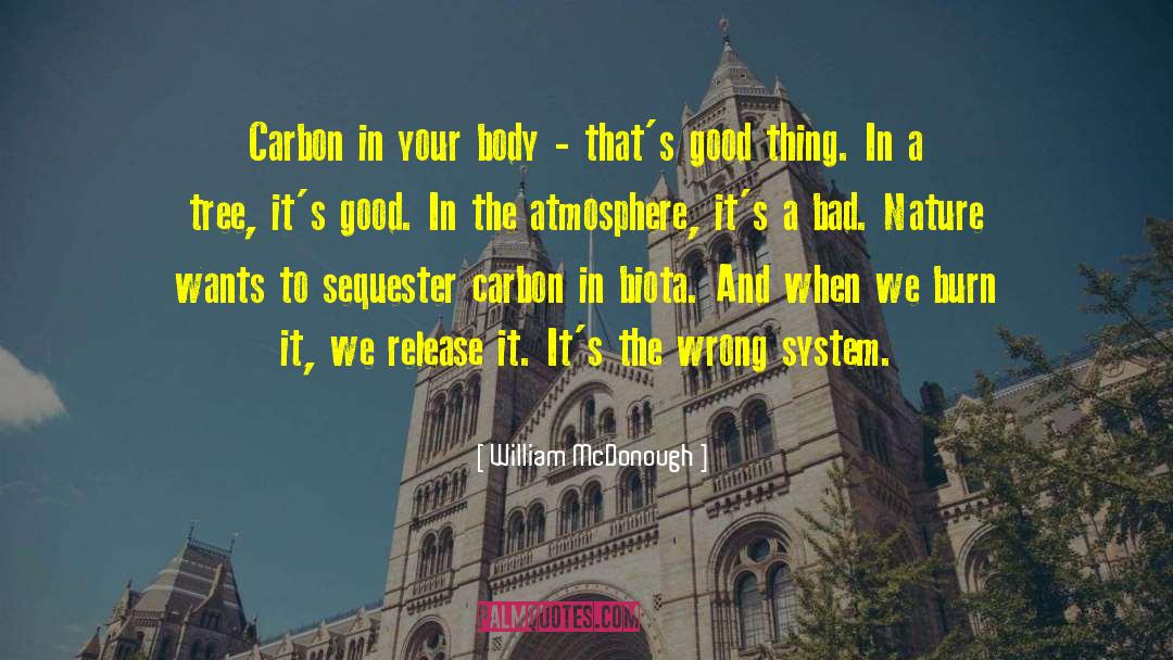 Body In The Gazebo quotes by William McDonough