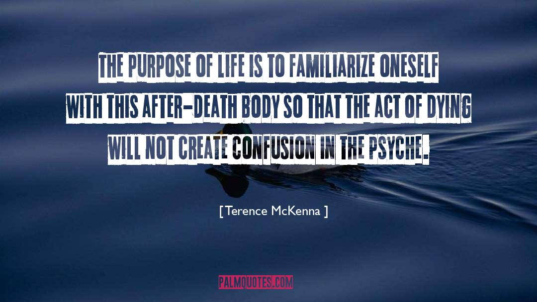 Body Mind Soul quotes by Terence McKenna