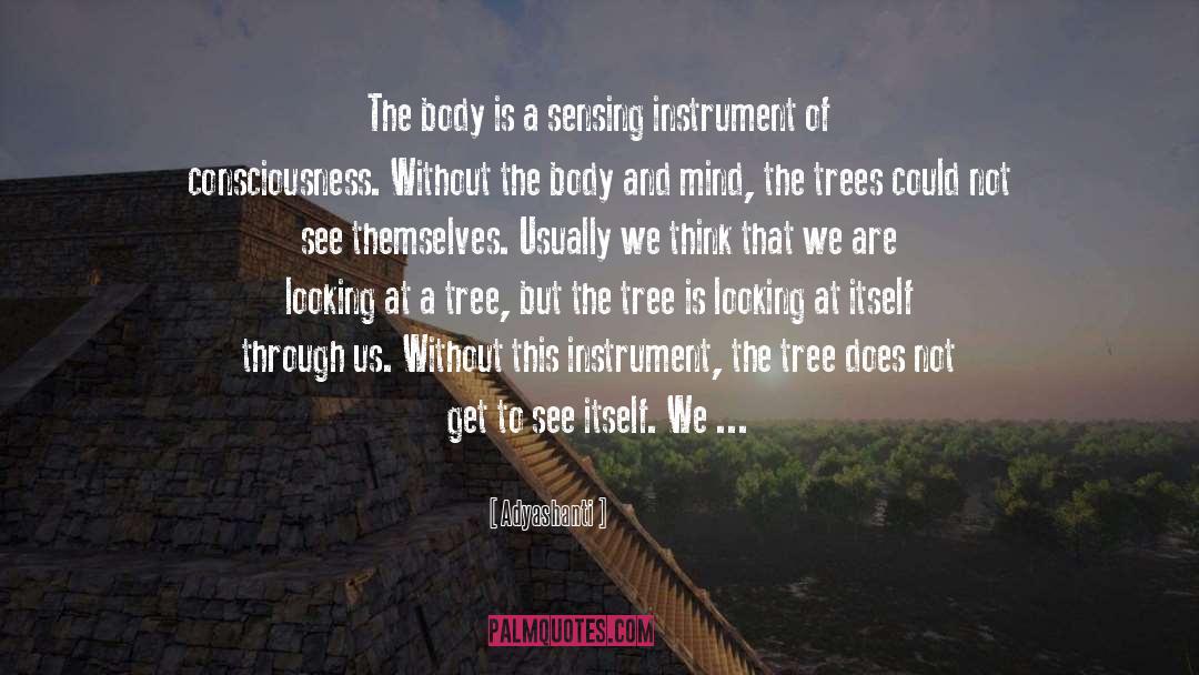 Body Scan quotes by Adyashanti