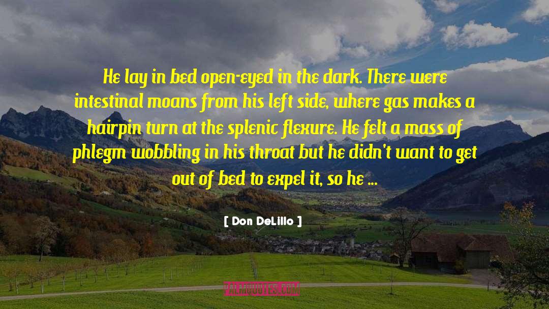 Body Stuff quotes by Don DeLillo