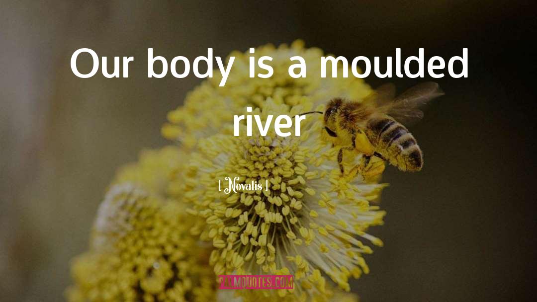 Body Tissues quotes by Novalis