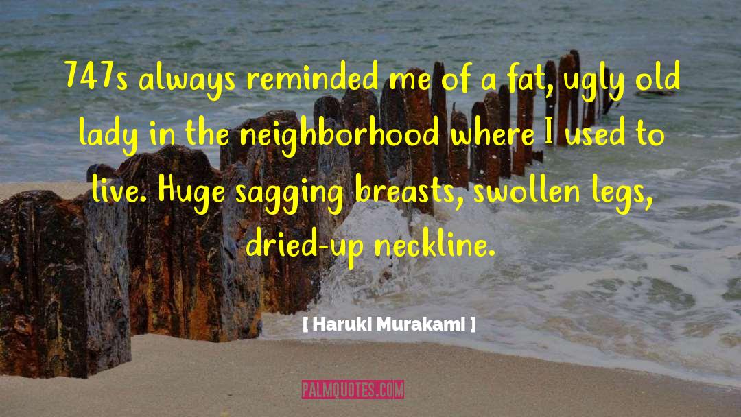 Boeing 747 quotes by Haruki Murakami