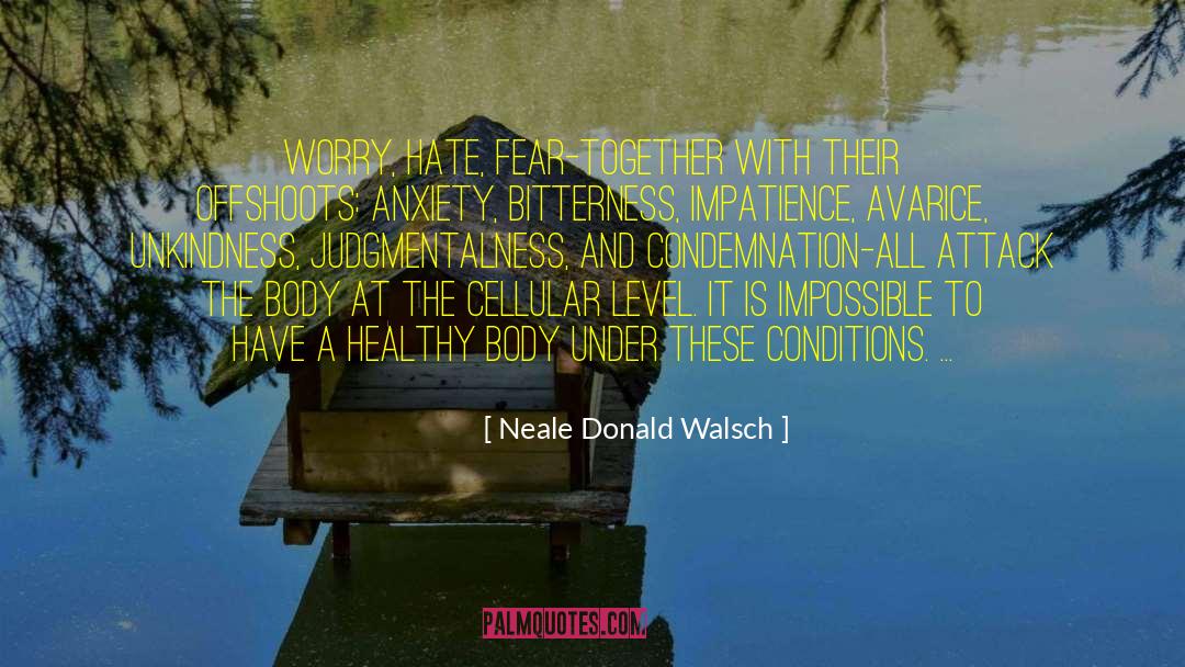Bog Body quotes by Neale Donald Walsch