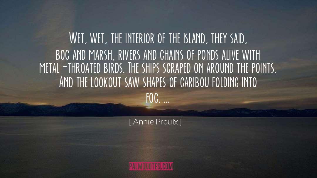 Bog quotes by Annie Proulx