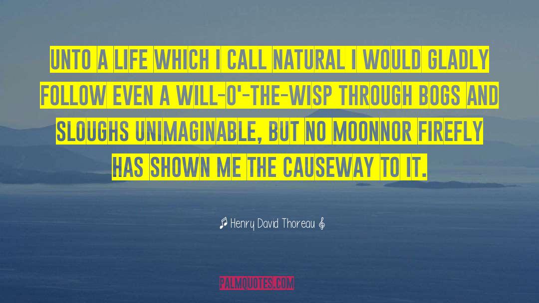 Bogs quotes by Henry David Thoreau