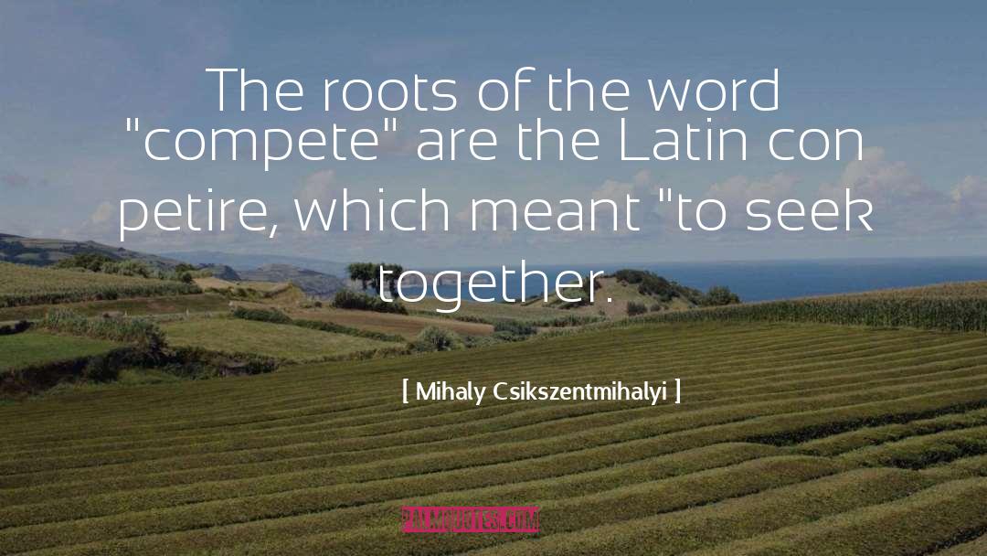 Bohemios Con quotes by Mihaly Csikszentmihalyi