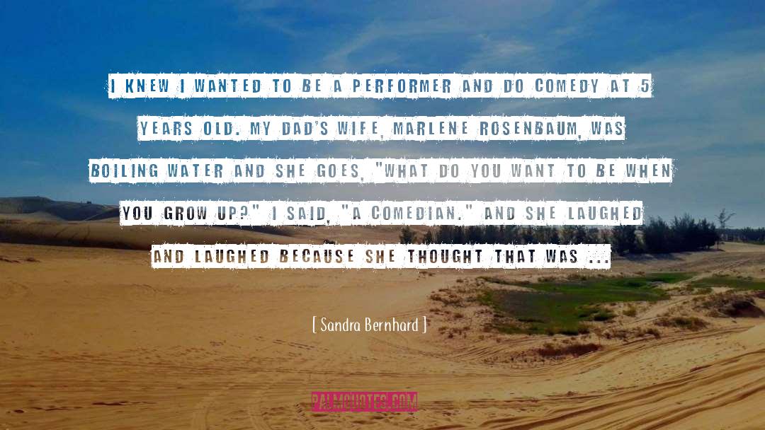 Boiling quotes by Sandra Bernhard