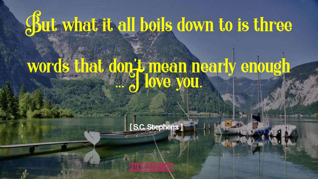 Boils quotes by S.C. Stephens