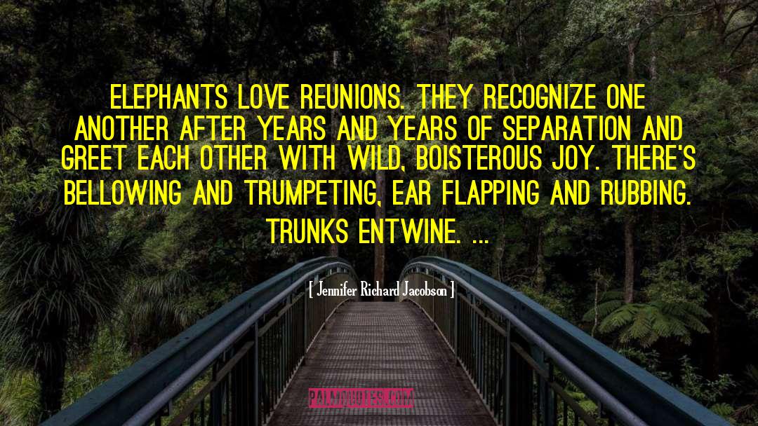 Boisterous quotes by Jennifer Richard Jacobson