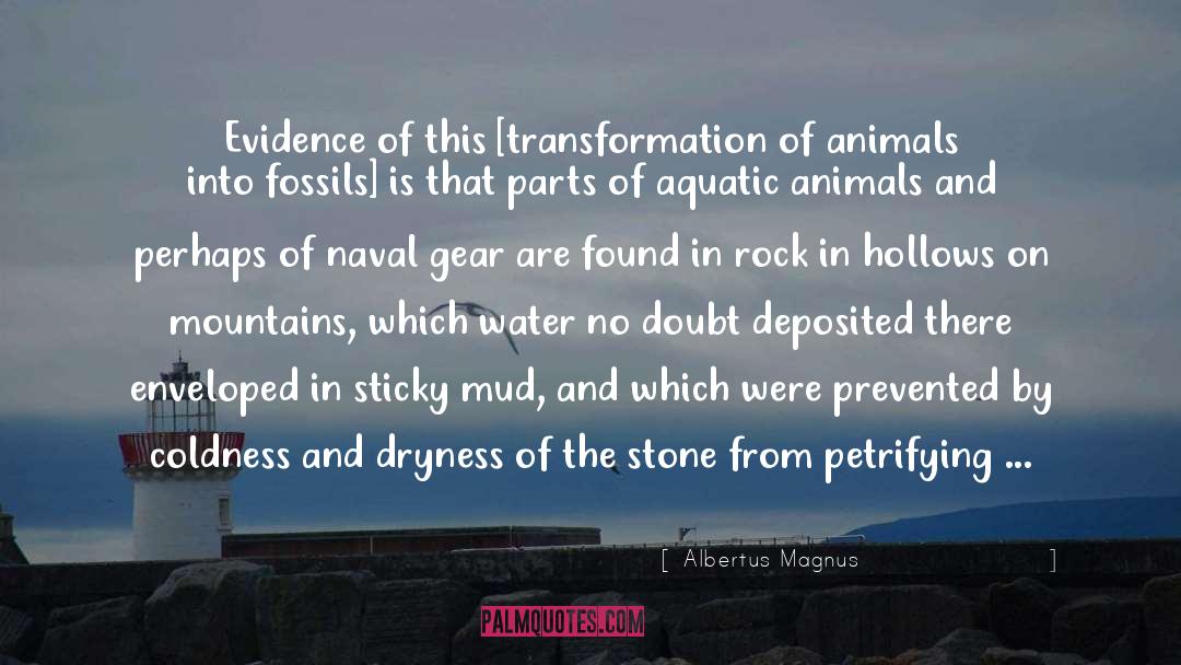 Boji Stones quotes by Albertus Magnus