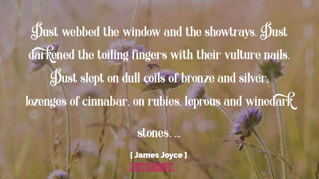 Boji Stones quotes by James Joyce