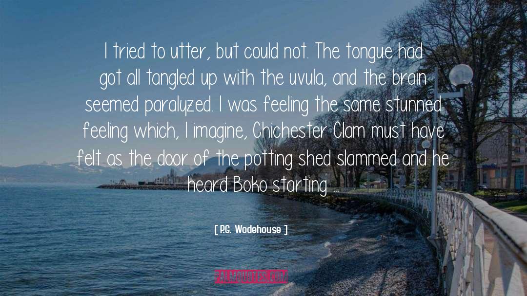 Boko Haram quotes by P.G. Wodehouse