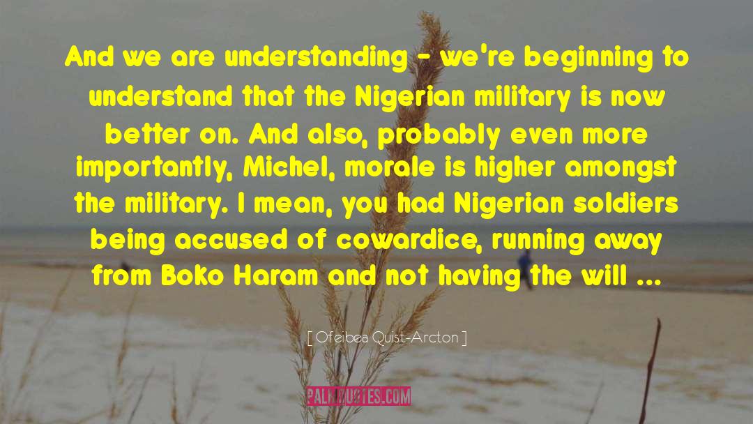 Boko Haram quotes by Ofeibea Quist-Arcton