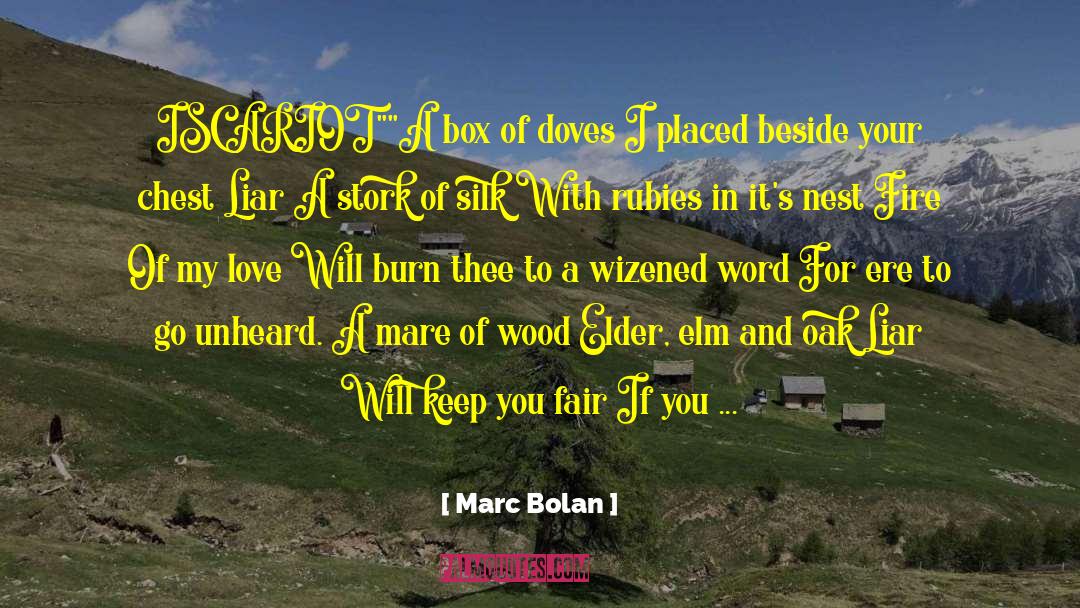 Bolan quotes by Marc Bolan