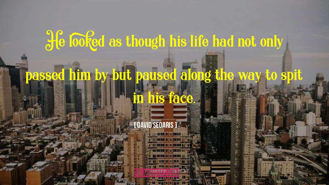 Bold Face quotes by David Sedaris