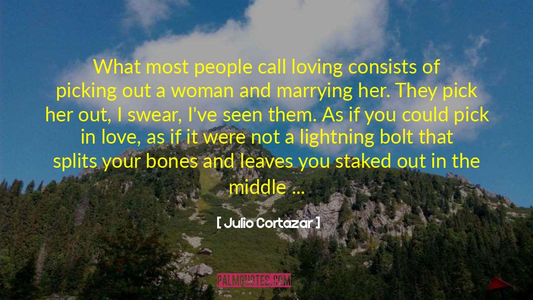 Bolts quotes by Julio Cortazar