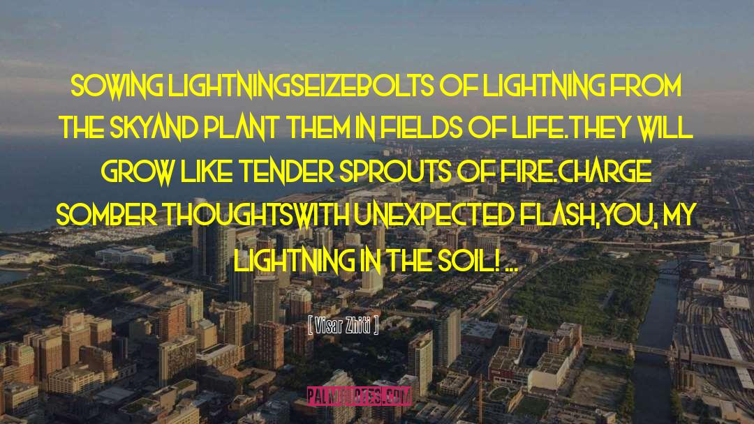 Bolts quotes by Visar Zhiti