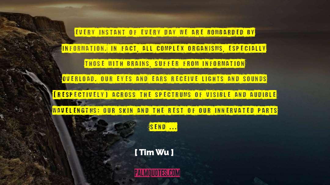 Bombarded quotes by Tim Wu