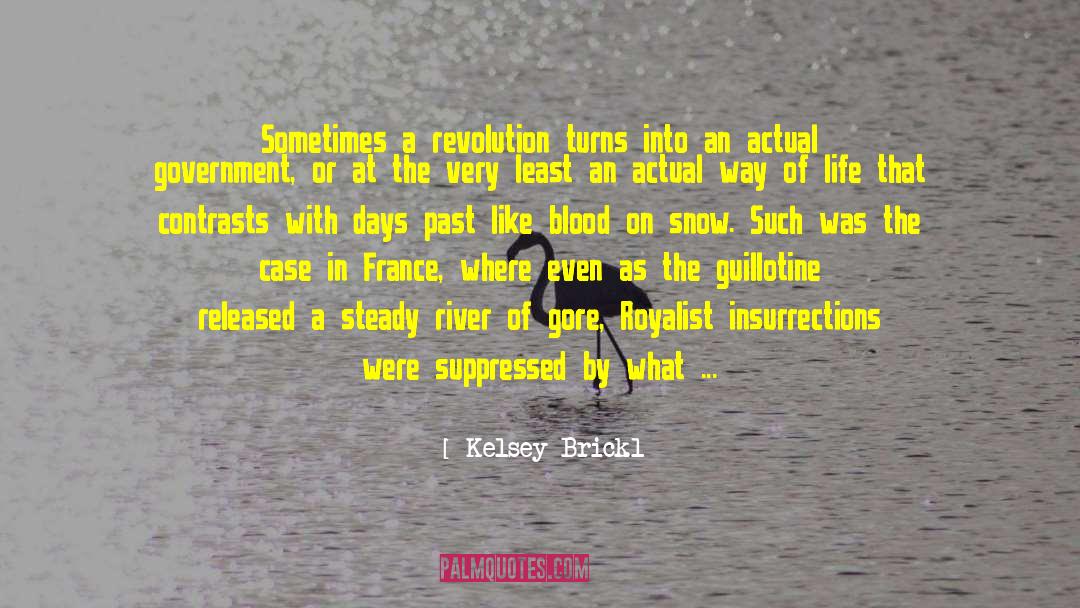 Bombardments quotes by Kelsey Brickl