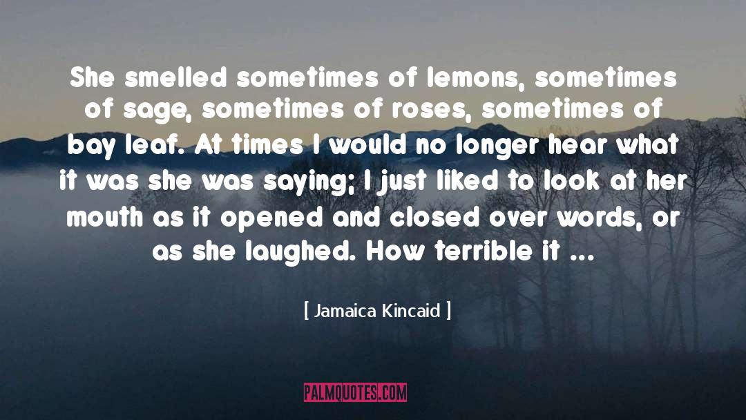 Bombastic Words Love quotes by Jamaica Kincaid