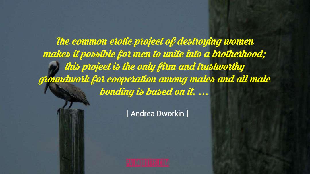 Bonding Ritual quotes by Andrea Dworkin