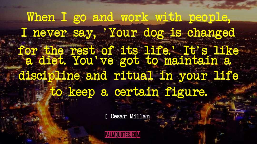 Bonding Ritual quotes by Cesar Millan