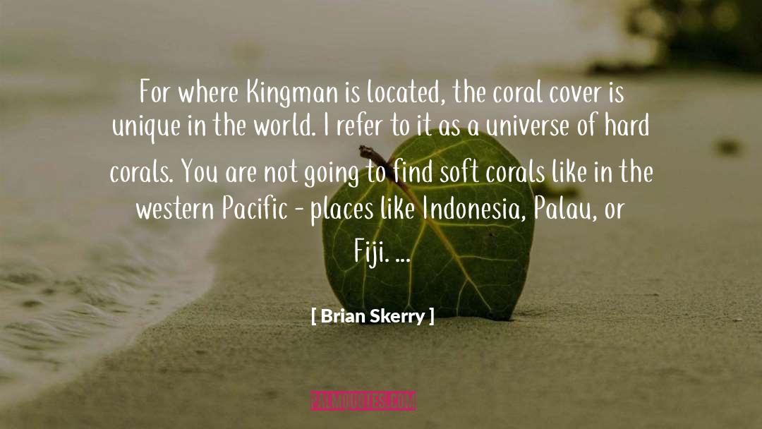 Bondor Indonesia quotes by Brian Skerry