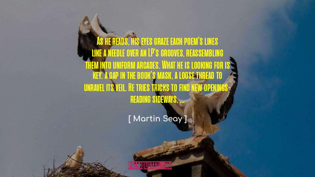 Bone Gap quotes by Martin Seay