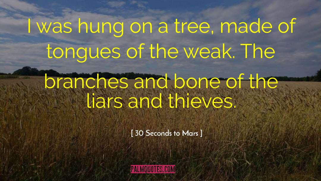 Bone Marrow quotes by 30 Seconds To Mars