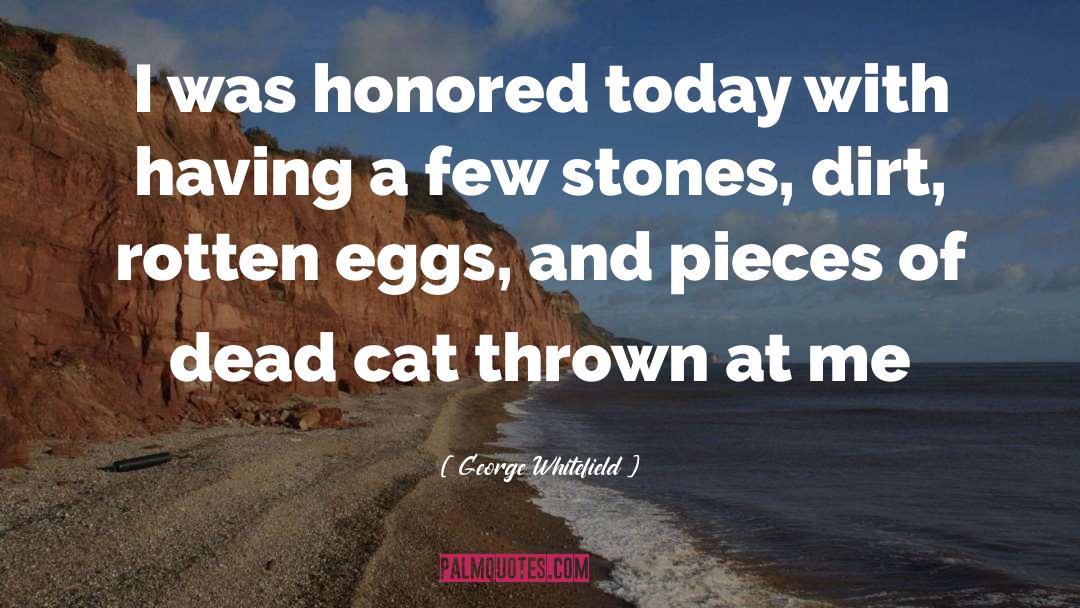 Bones And Cat quotes by George Whitefield