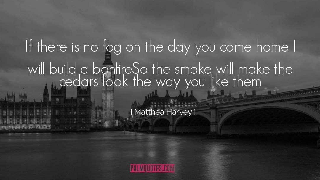 Bonfire quotes by Matthea Harvey