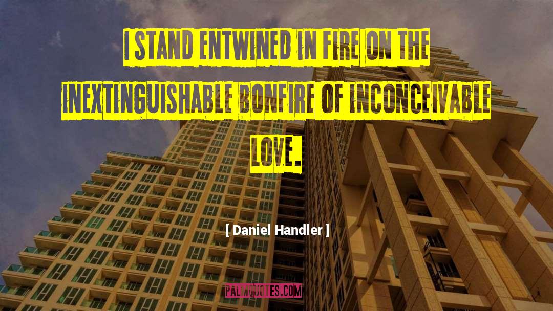 Bonfire quotes by Daniel Handler