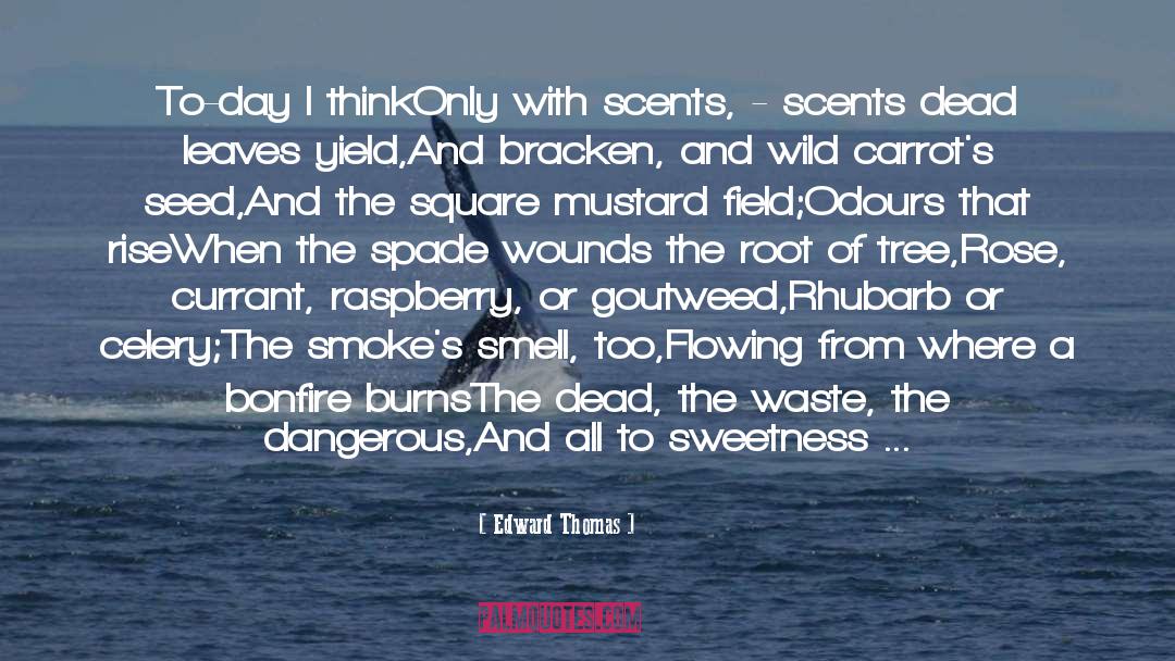 Bonfire quotes by Edward Thomas