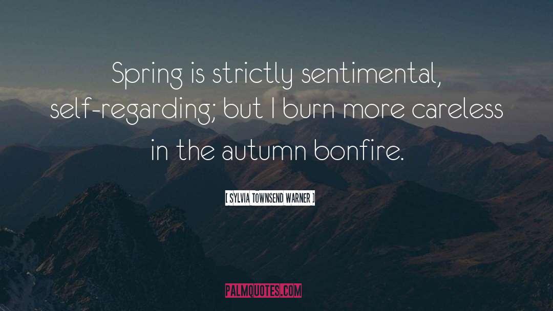 Bonfire quotes by Sylvia Townsend Warner