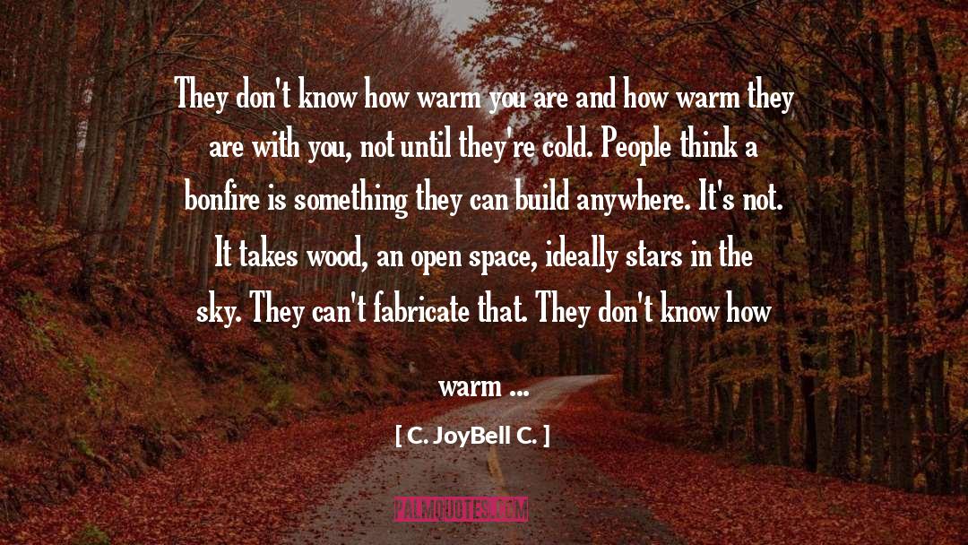 Bonfire quotes by C. JoyBell C.