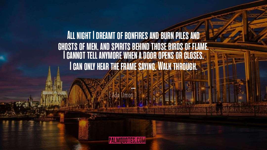 Bonfire quotes by Ada Limon