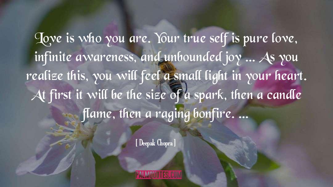 Bonfire quotes by Deepak Chopra